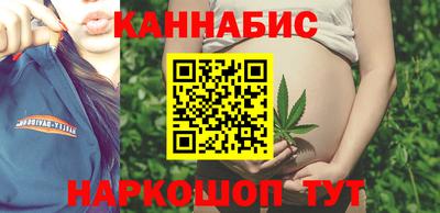 стафф Шелехов