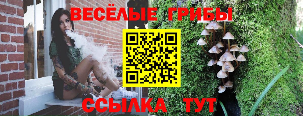 Ликино-Дулёво  Галлюциногенные грибы Psilocybine cubensis  Вход с VPN  Псилоцибиновые грибы MAGIC MUSHROOMS 